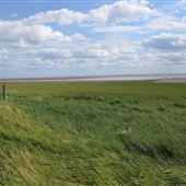 Humber Estuary - views from Skeffling