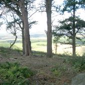 Hulne Park
