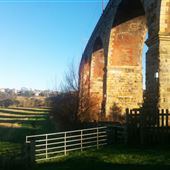 Mill Farm
