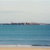 Farne Islands