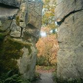 Belsay Gardens