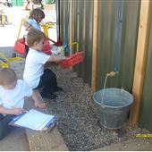 Lime Walk Primary School