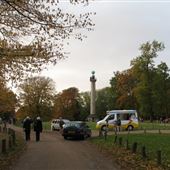 NT - Ashridge Estate - Bridgewater Monument