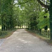 A - Crown Farm