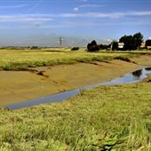 Faversham Wharf and Creek