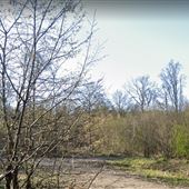 Dering Wood