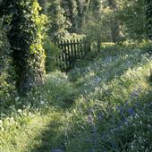 Coleton Fishacre