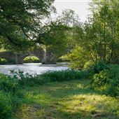 Woodland, Haddon Hall