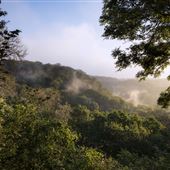 NT - Ebbor Gorge