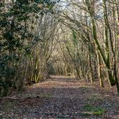 FE - Abbots Wood