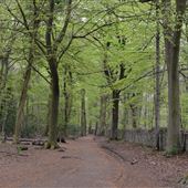 NT - Leigh Woods