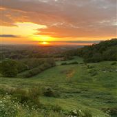 Ham Hill Country Park