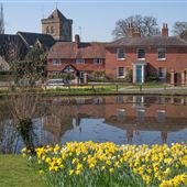 Chiddingfold
