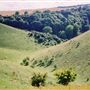 Barton Hills