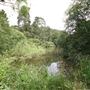 Rushmere Park - Lakes