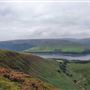 Wildboar Clough