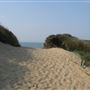 Camber Sands