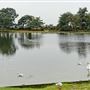 Hatchet Pond