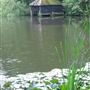 Inholms Copse
