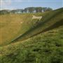 NT - Cherhill White Horse