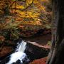 Healey Dell