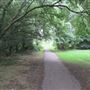 Bedgrove Spinney
