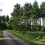 FE - High Lodge, Thetford Forest Park