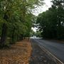 Tuddenham Road