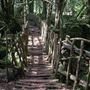 PUZZLEWOOD