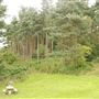 Picnic Bench Near White Horse