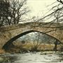 Coverham Bridge