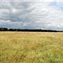 Yate Common