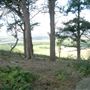 Hulne Park