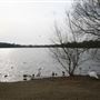Bury Lake (Aquadrome)