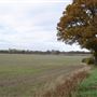 Nomansland Common