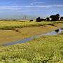 Faversham Wharf and Creek