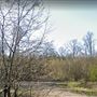Dering Wood