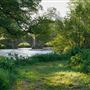 Woodland, Haddon Hall
