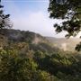 NT - Ebbor Gorge