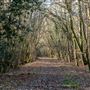 FE - Abbots Wood