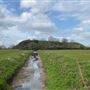 Fenny Castle