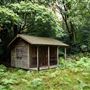 Fern Farm
