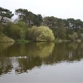 The Shipley Country Park