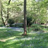 Stockgrove Country Park