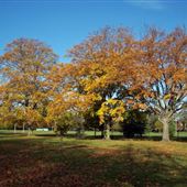 Russell Park