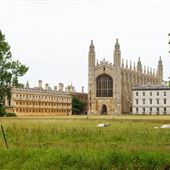 King's College (Cambridge College)