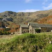 The Coppermines