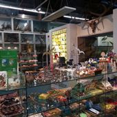 Booth Museum of Natural History