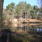 FE - Bramshill and Warren Heath
