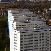 Weston Blocks
